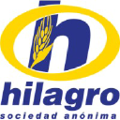 grupo hilagro s a