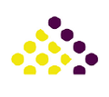gas transmission company limited