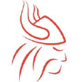 vikings group