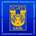 club tigres