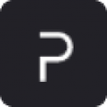 parogon group