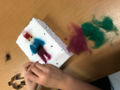 kulturskolan
