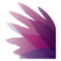 fingal county council