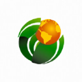 pinesso group