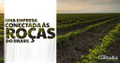 dois cunhados hortifruti
