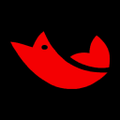 salmones de chile
