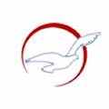 air peace limited
