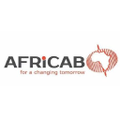 africab tanzania