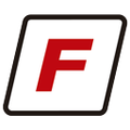 flesan