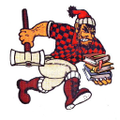 diboll independent school district
