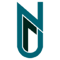 new vision university