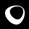 ambion gmbh