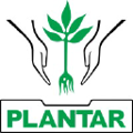 plantar