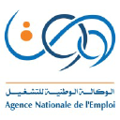agence nationale de lemploi anem