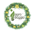 agro baggio maquinas agricolas ltda