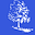 blossom house school limited