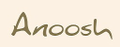 anoosh company