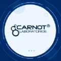 carnot laboratorios