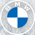 bmw roma srl