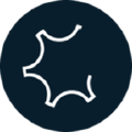 cherubini group
