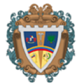 alcaldia de iribarren