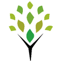 childlife foundation pakistan