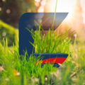 Cromosol Logo