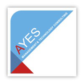 ayes management technology consulting