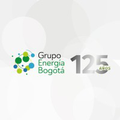 grupo energia de bogota