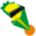 Transportadora Brasil Central Logo