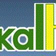 kaltun grup