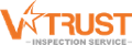 v trust inspection service group