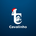 transportes cavalinho