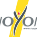 NOYON Solutions Logistiques Logo