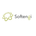 softengi delivers your success