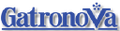 gatron industries limited