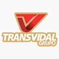 grupo transvidal