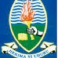 university of dar es salaam computing centre