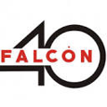 instrumentos y equipos falcon sa de cv