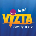 pt vizta international indonesia