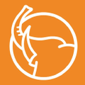 Grupo Acerero S.A. de C.V Logo