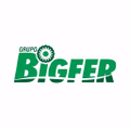 grupo bigfer