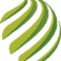 grupo galvao