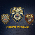 grupo megavig