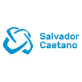 grupo salvador caetano