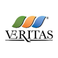 gruppo veritas
