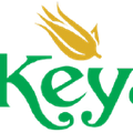 keya cosmetics ltd