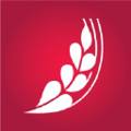rose blanche group