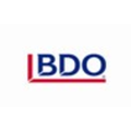 bdo in pakistan