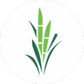 sao jose agroindustrial